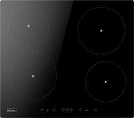 Induktionsfeld Reparatur Wismar